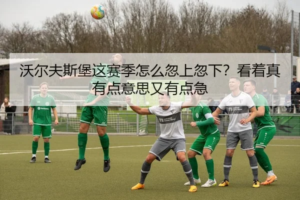 沃尔夫斯堡这赛季怎么忽上忽下？看着真有点意思又有点急