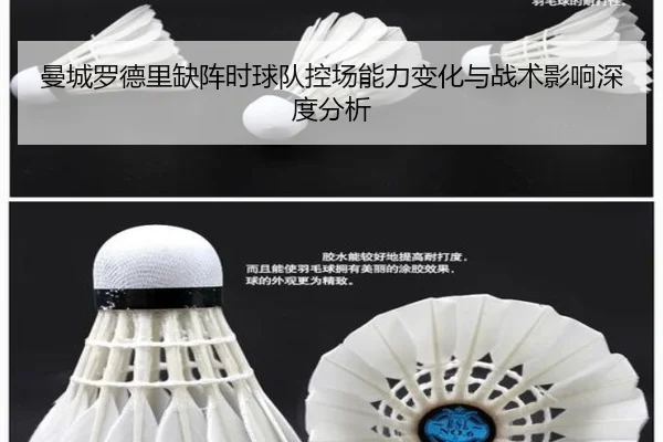 曼城罗德里缺阵时球队控场能力变化与战术影响深度分析 - leyu