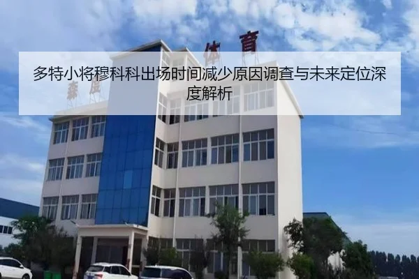 多特小将穆科科出场时间减少原因调查与未来定位深度解析