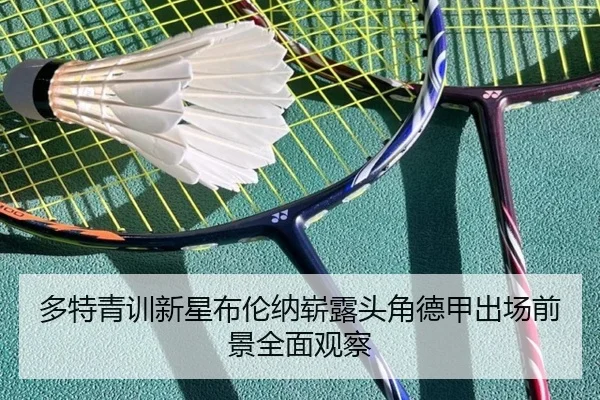 多特青训新星布伦纳崭露头角德甲出场前景全面观察